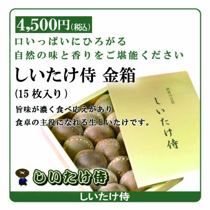 ポスティングギフト 商品04